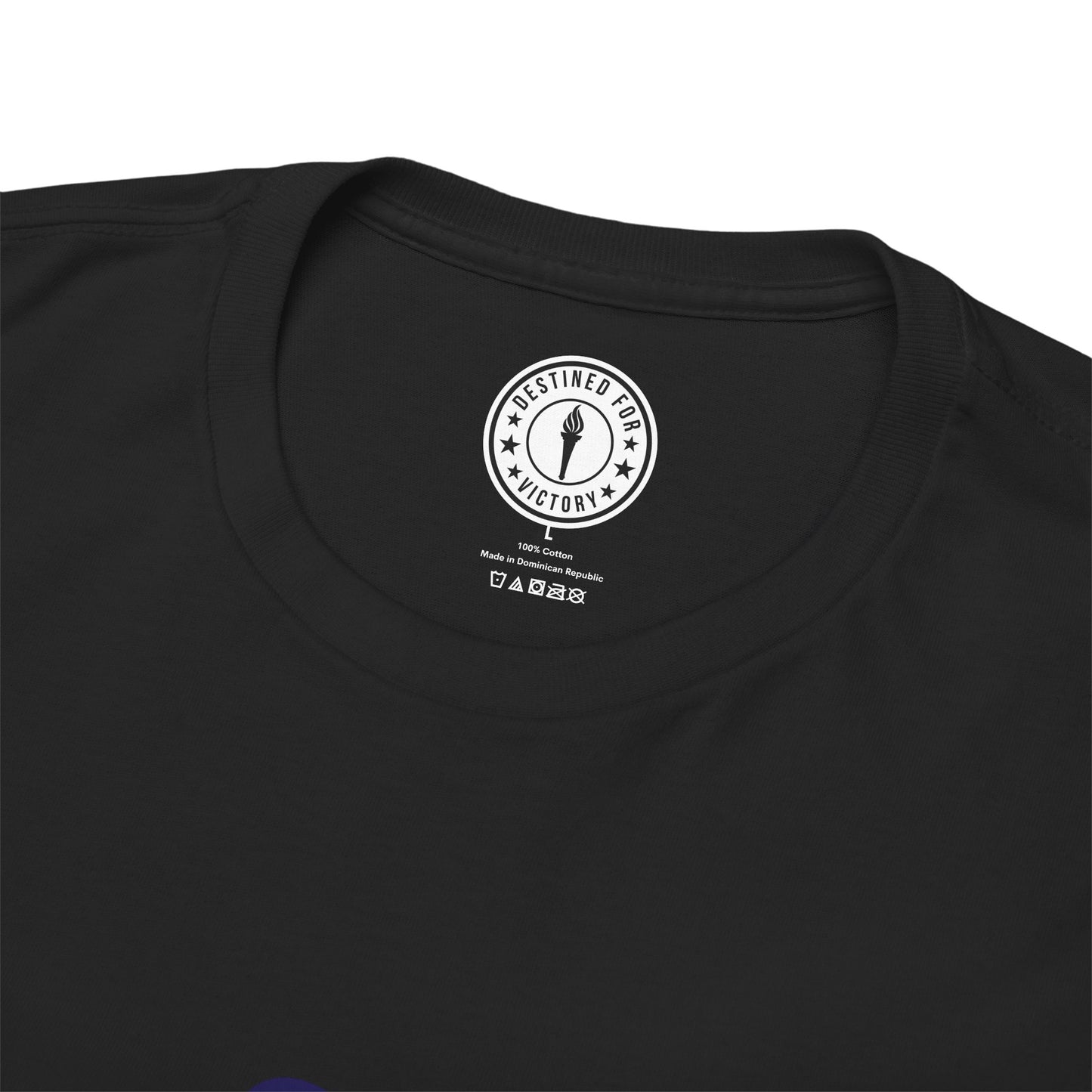 DFV (Rockets) - Heavy Cotton Tee