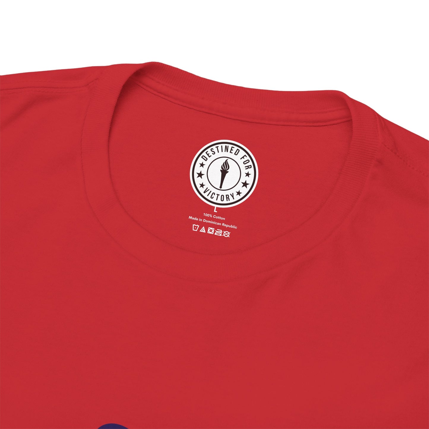 DFV (Rockets) - Heavy Cotton Tee